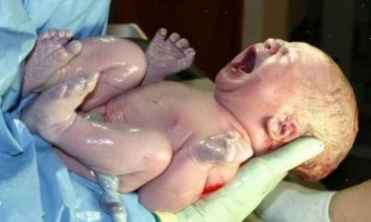 Το μεγαλείο της ζωής από τη σύλληψη έως τη γέννηση! (βίντεο)