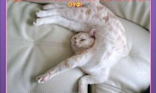 Ερμής σε όπισθεν