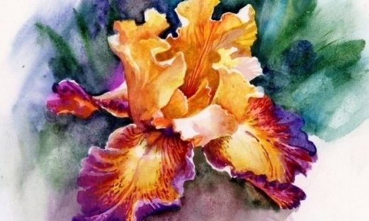 Οι τυχερές και όμορφες στιγμές της ημέρας: Σάββατο 3 Ιανουαρίου