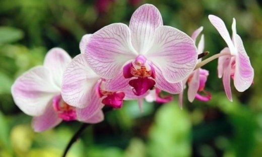 Οι τυχερές και όμορφες στιγμές της ημέρας: Κυριακή 18 Ιανουαρίου