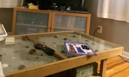 Μπορείτε να βρείτε την κρυμμένη γάτα μέσα σε 30 δευτερόλεπτα;