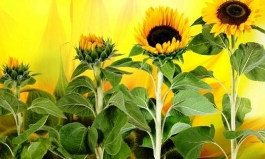 Αστρολογικό δελτίο για όλα τα ζώδια, από 28 έως 30 Ιανουαρίου