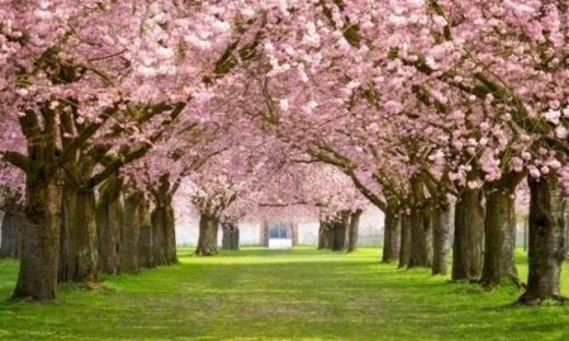 Οι τυχερές και όμορφες στιγμές της ημέρας: Κυριακή 1η Φεβρουαρίου