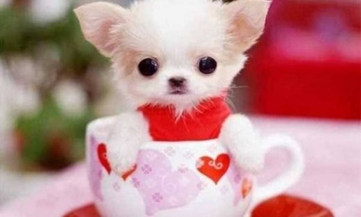 Φωτογραφίες γεμάτες… γλύκα!!