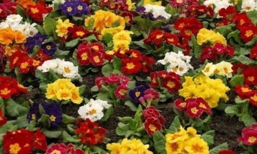 Οι τυχερές και όμορφες στιγμές της ημέρας: Κυριακή 8 Μαρτίου