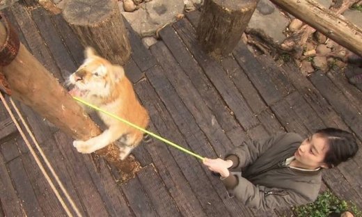 Εθνική κατακραυγή για ριάλιτι με ζώα και… «ζώα