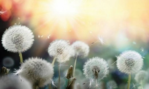 Οι τυχερές και όμορφες στιγμές της ημέρας: Σάββατο 4 Απριλίου