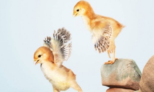 Αστρολογικό δελτίο για όλα τα ζώδια, από 13/5 έως 15/5