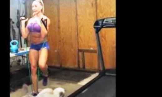 Η περιέργεια… σκότωσε τη γάτα! Κυριολεκτικά! (video)