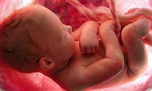 Οι 5+4 αλήθειες για τα έμβρυα που θα σας εκπλήξουν