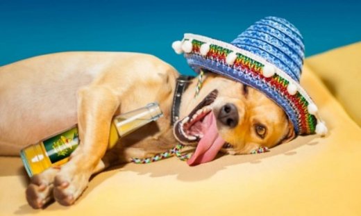 Τεστ μεθυσμένης προσωπικότητας: Τι τύπος είσαι όταν πίνεις;