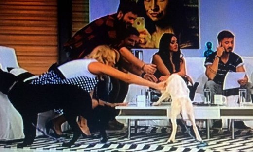 Χριστίνα Μουστάκα: Πιο ανέκφραστη δεν γίνεται!