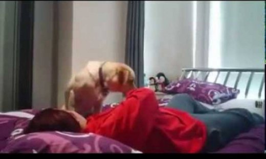 Συγκλονιστικό! Η αφεντικίνα του παθαίνει κρίση και ο σκύλος της προσπαθεί να τη σώσει! (video)