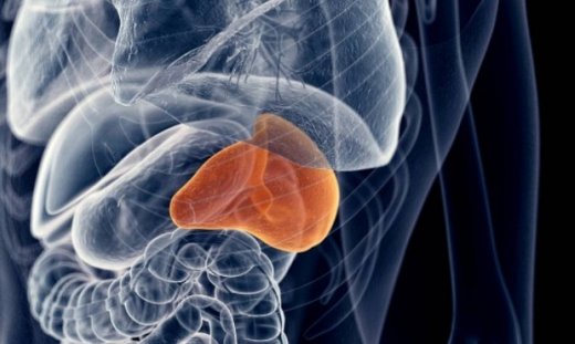 Διόγκωση σπλήνα: Ποια είναι τα ανησυχητικά σημάδια