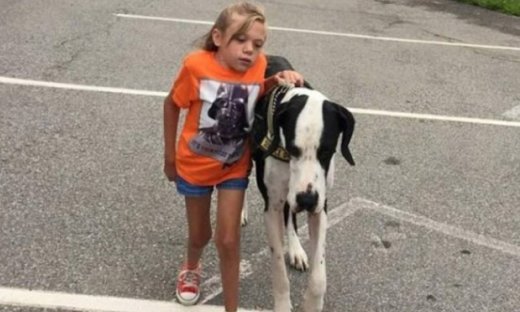 Ο Μεγάλος Δανός βοήθησε τη Μπέλα να περπατήσει ξανά μετά από 9 χρόνια (pics&vid)