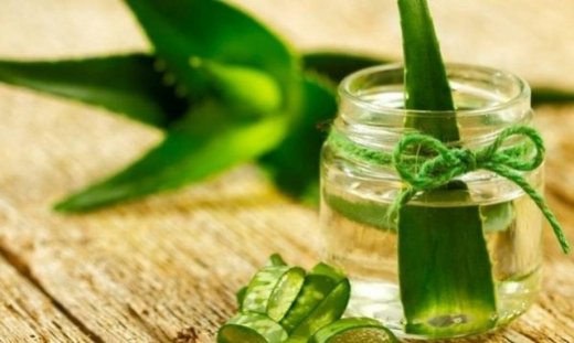 Τέσσερις χρήσεις της Aloe Vera στα παιδιά
