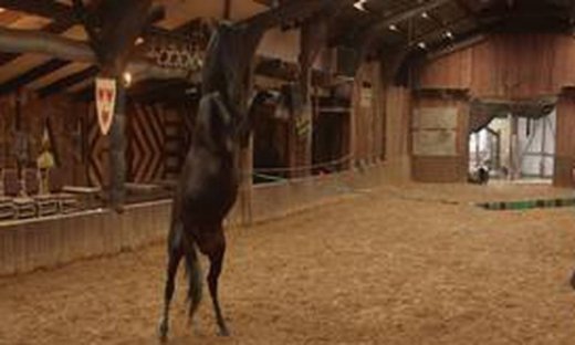 Εκπαιδεύοντας τα άλογα του Game of Thrones