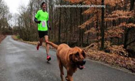 Ο τετράποδος μαραθωνοδρόμος που κατέπληξε τα πλήθη