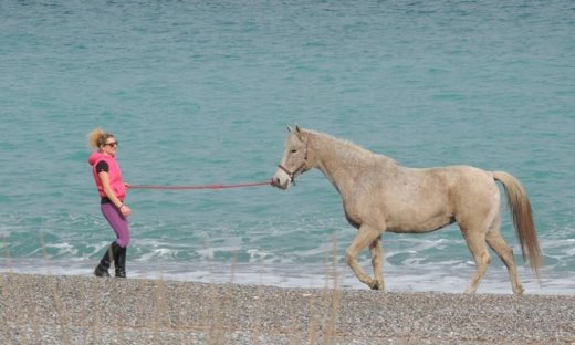 360°: Τέσσερις ιστορίες ελευθερίας