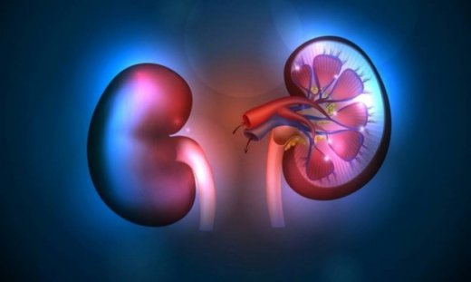 Νεφροκυτταρικός καρκίνος: Η διατροφή που αυξάνει τον κίνδυνο
