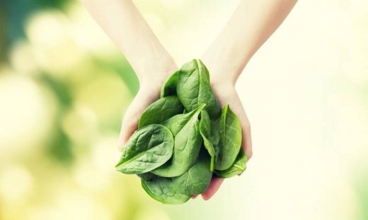 Έξι καλές πηγές σιδήρου εκτός από το κόκκινο κρέας