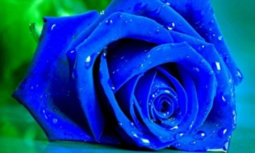 Θλίψη στον καλλιτεχνικό χώρο! Έφυγε από τη ζωή η…