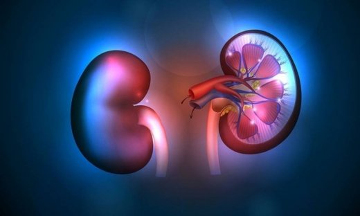 Χρόνια νεφρική νόσος: Η διατροφή που μειώνει κατά 30% τον κίνδυνο πρόωρου θανάτου
