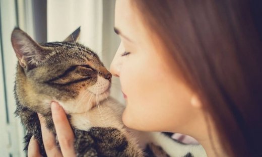 Κατοικίδια & ψυχική υγεία: Νέα επιστημονική μελέτη «αθωώνει» τις γάτες
