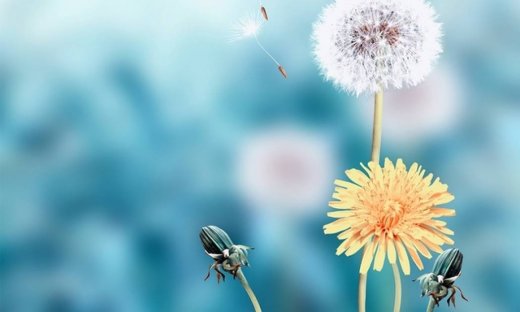 Ημερήσιες προβλέψεις για όλα τα ζώδια για το Σάββατο 25/3