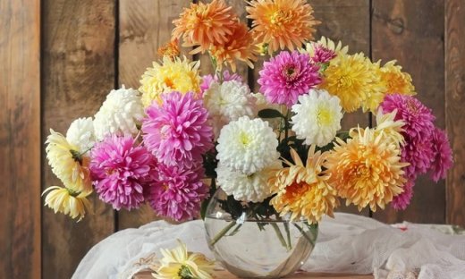 Ημερήσιες προβλέψεις για όλα τα ζώδια για την Δευτέρα 27/3