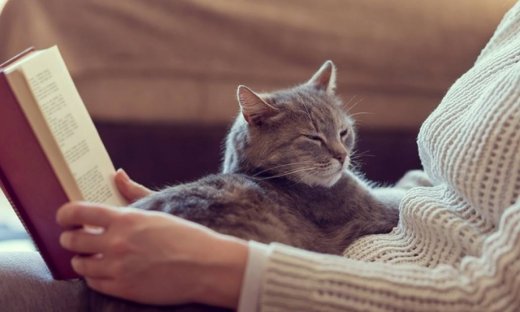 Ημερήσιες προβλέψεις για όλα τα ζώδια για την Τρίτη 28/3