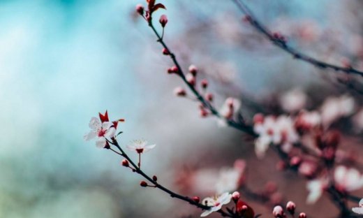 Ημερήσιες προβλέψεις για όλα τα ζώδια για την Τετάρτη 5/4