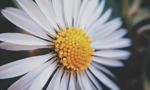 Ημερήσιες προβλέψεις για όλα τα ζώδια για την Μ Πέμπτη 13/4