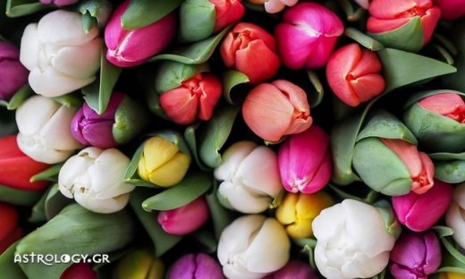 Ημερήσιες προβλέψεις για όλα τα ζώδια για την Δευτέρα 1 Μαΐου