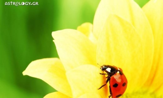 Ημερήσιες προβλέψεις για όλα τα ζώδια για την Τετάρτη 3/5