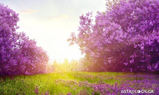 Ημερήσιες προβλέψεις για όλα τα ζώδια για το Σάββατο 6/5
