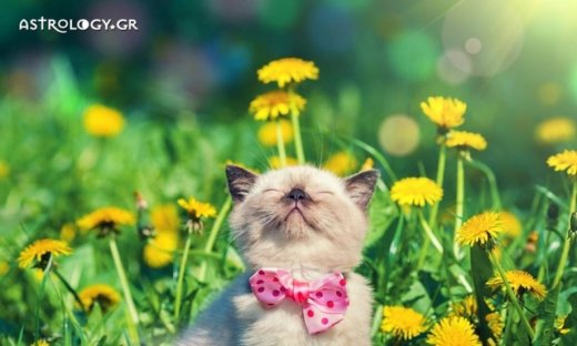 Ημερήσιες προβλέψεις για όλα τα ζώδια για την Κυριακή 7/5