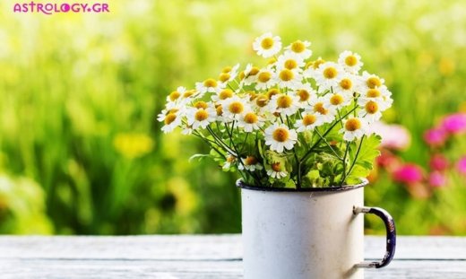 Ημερήσιες προβλέψεις για όλα τα ζώδια για την Δευτέρα 29/5