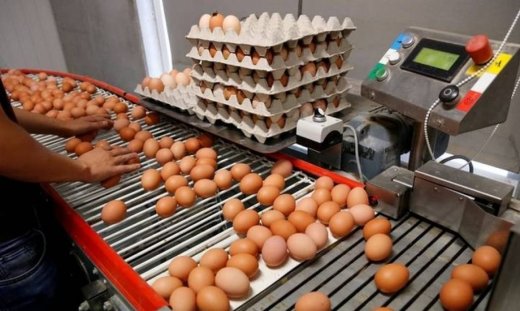 Γερμανός ευρωβουλευτής κατηγορεί την ΕΕ για το σκάνδαλο με τα μολυσμένα αυγά