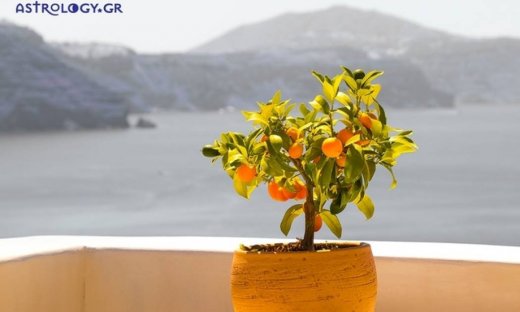 Ημερήσιες προβλέψεις για όλα τα ζώδια για την Δευτέρα 18/9