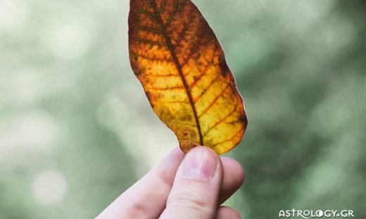 Ημερήσιες προβλέψεις για όλα τα ζώδια για την Τρίτη 22/8
