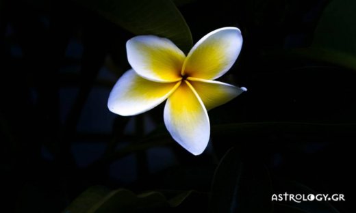 Ημερήσιες προβλέψεις για όλα τα ζώδια για την Κυριακή, 8/10