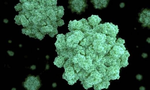 Γαστρεντερίτιδα από νοροϊό: Οι 8 βασικοί κανόνες πρόληψης