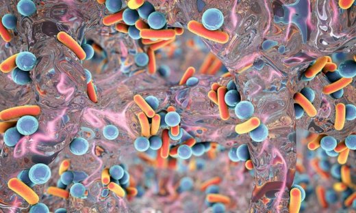 Λοίμωξη από σταφυλόκοκκο – Πώς θα την αναγνωρίσετε (φωτογραφίες)