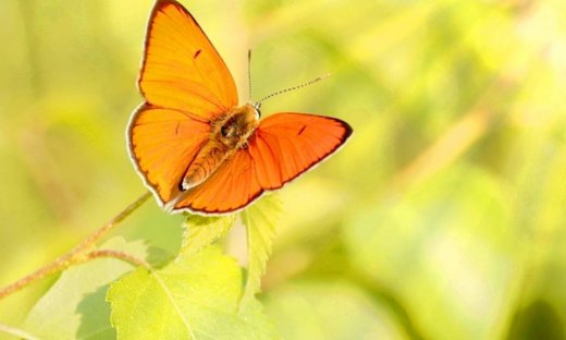 Ημερήσιες Προβλέψεις για όλα τα Ζώδια 19/03