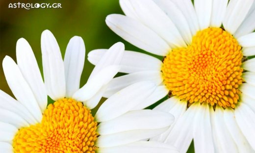 Ερωτικές Προβλέψεις για όλα τα Ζώδια, 09/04