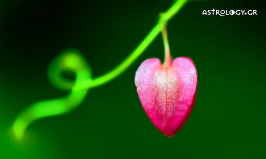 Ερωτικές Προβλέψεις για όλα τα Ζώδια, 17/04