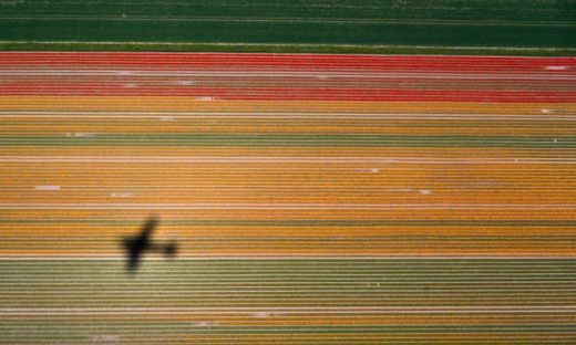 Οι φημισμένοι κήποι του Keukenhof από ψηλά