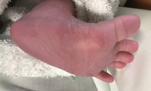 Γεννητούρια στην ελληνική σόουμπιζ