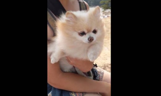 Όταν δίνεις μάχη με τον… αέρα